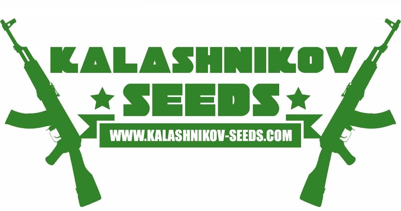 Kalashnikova seeds